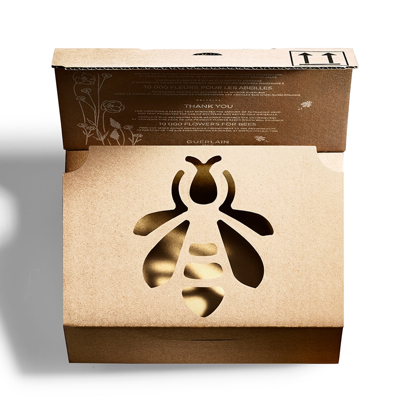 Image of DE MINIMALISTISCHE CASE